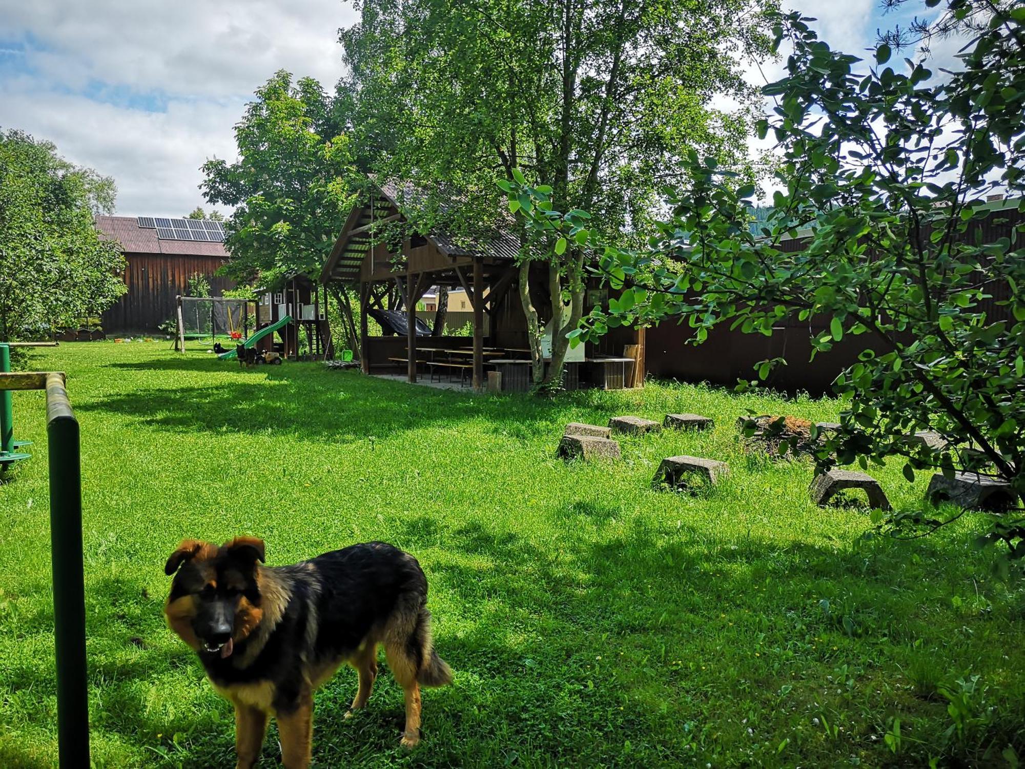 Arenda Noclegi Niedzica Экстерьер фото
